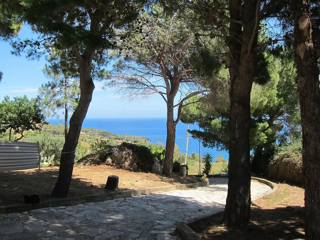 Palms Villa Scopello Scopello (Sicily)